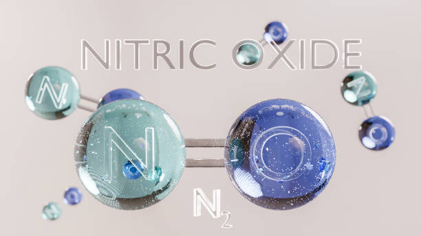 Tác dụng của nitric oxide với sinh lý nam